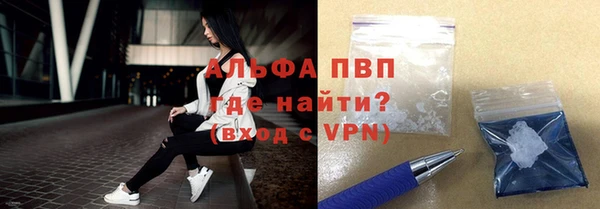 стаф Краснослободск