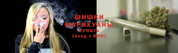 стаф Краснослободск