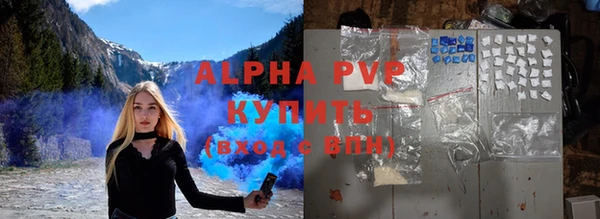 стаф Краснослободск