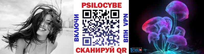 Псилоцибиновые грибы Magic Shrooms  Щёлкино 