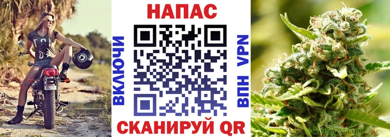 Конопля ГИДРОПОН  как найти закладки  Щёлкино 